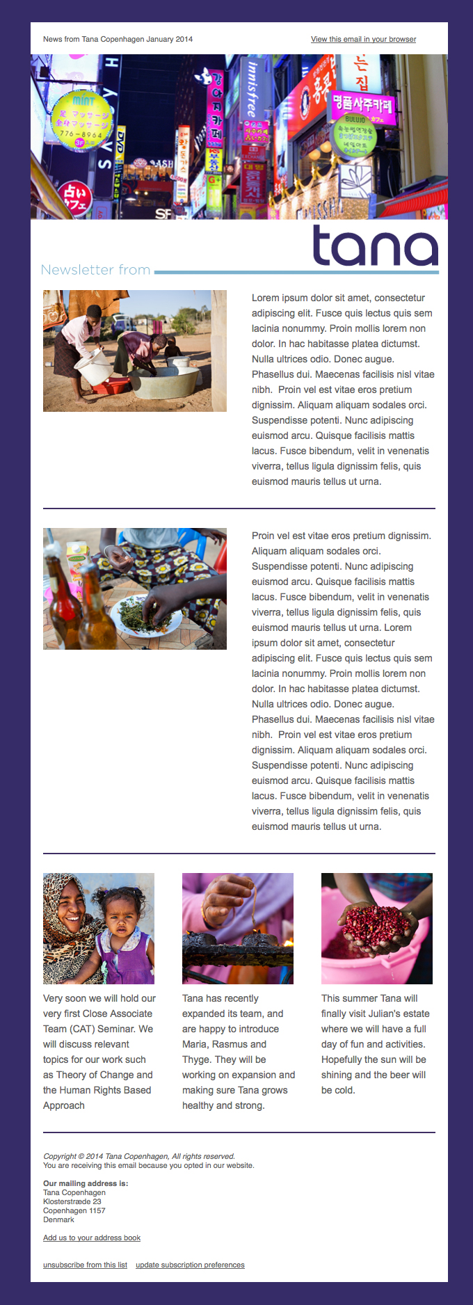 Tana newsletter template